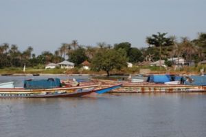 Excursiereis Gambia 2*